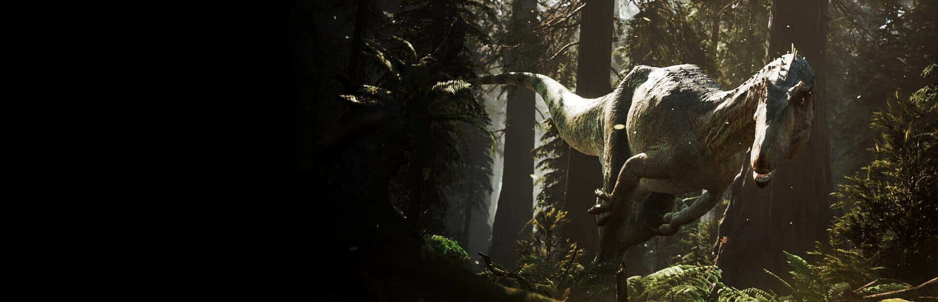 Artwork for The Lost Wild