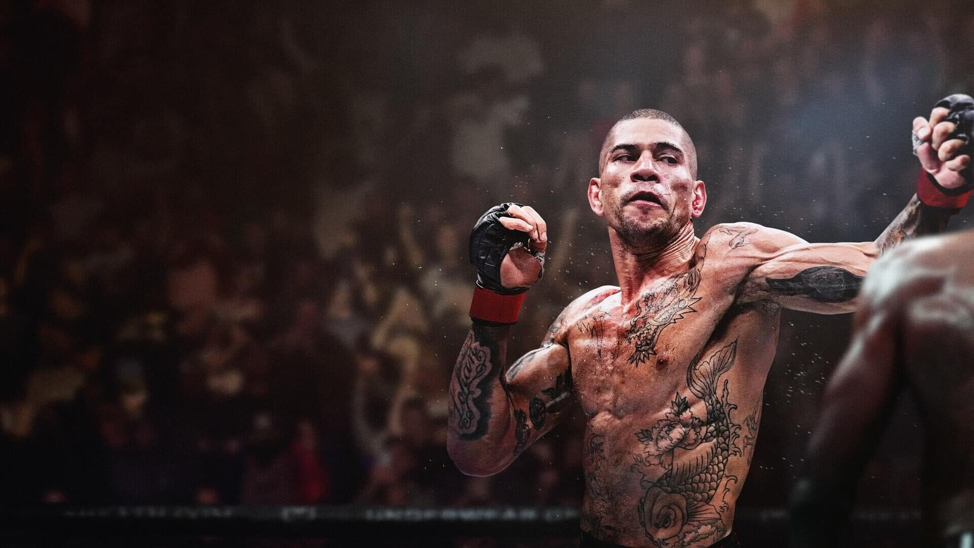 Artwork for EA Sports UFC 6