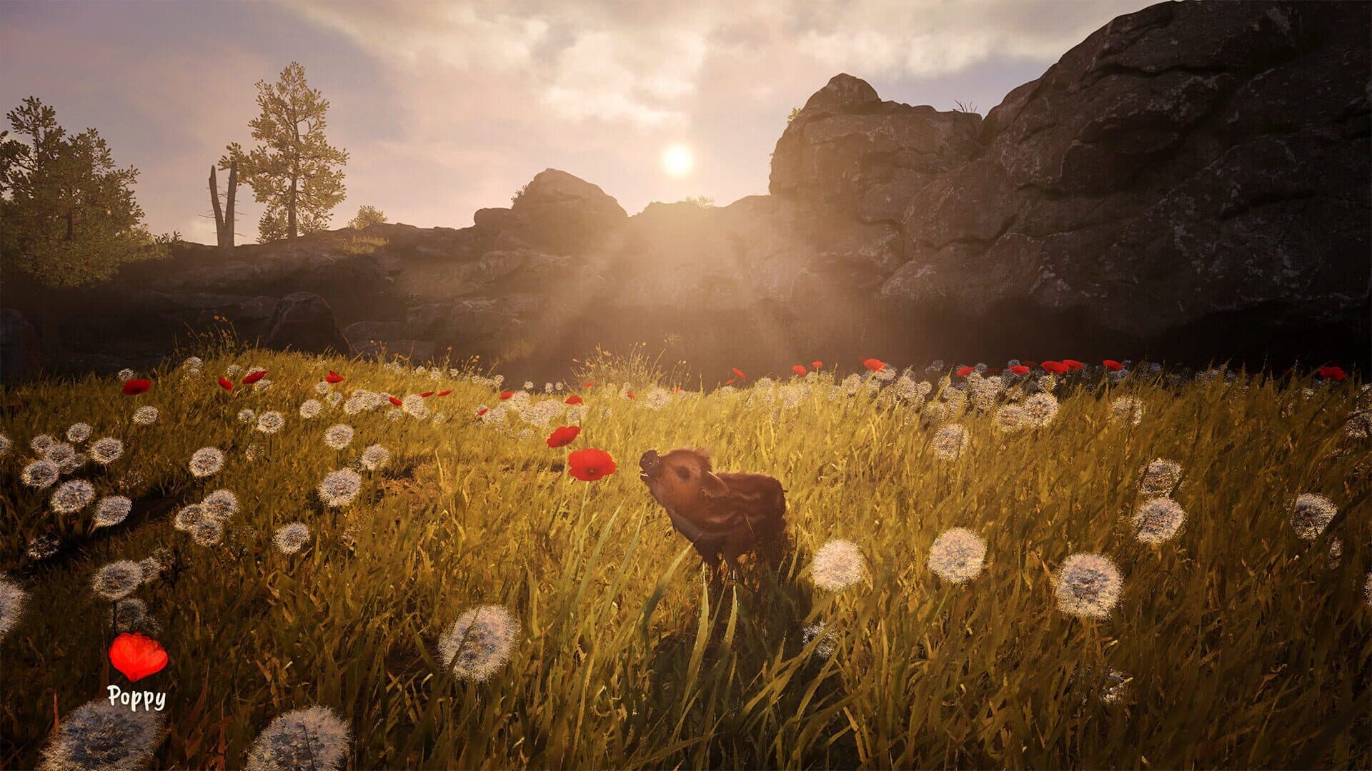 Screenshot for Adorable Adventures