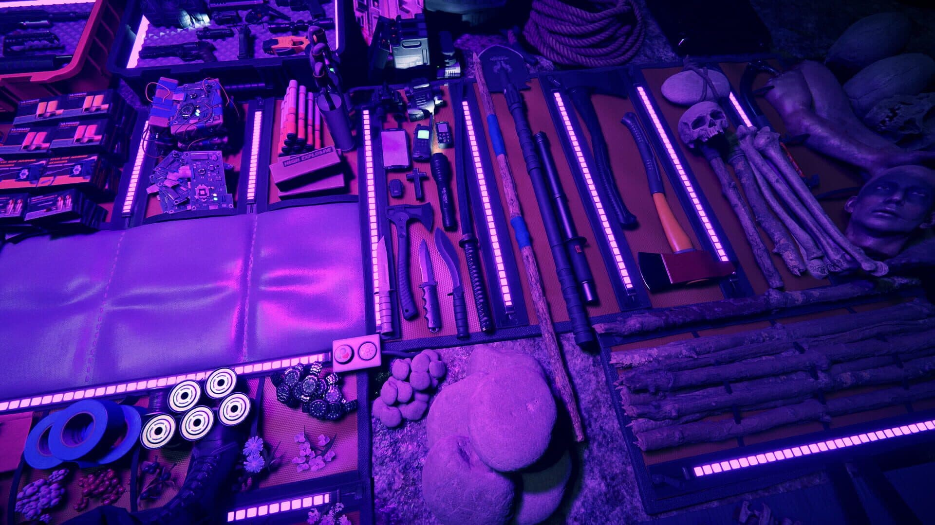 Screenshot for Sons of the Forest