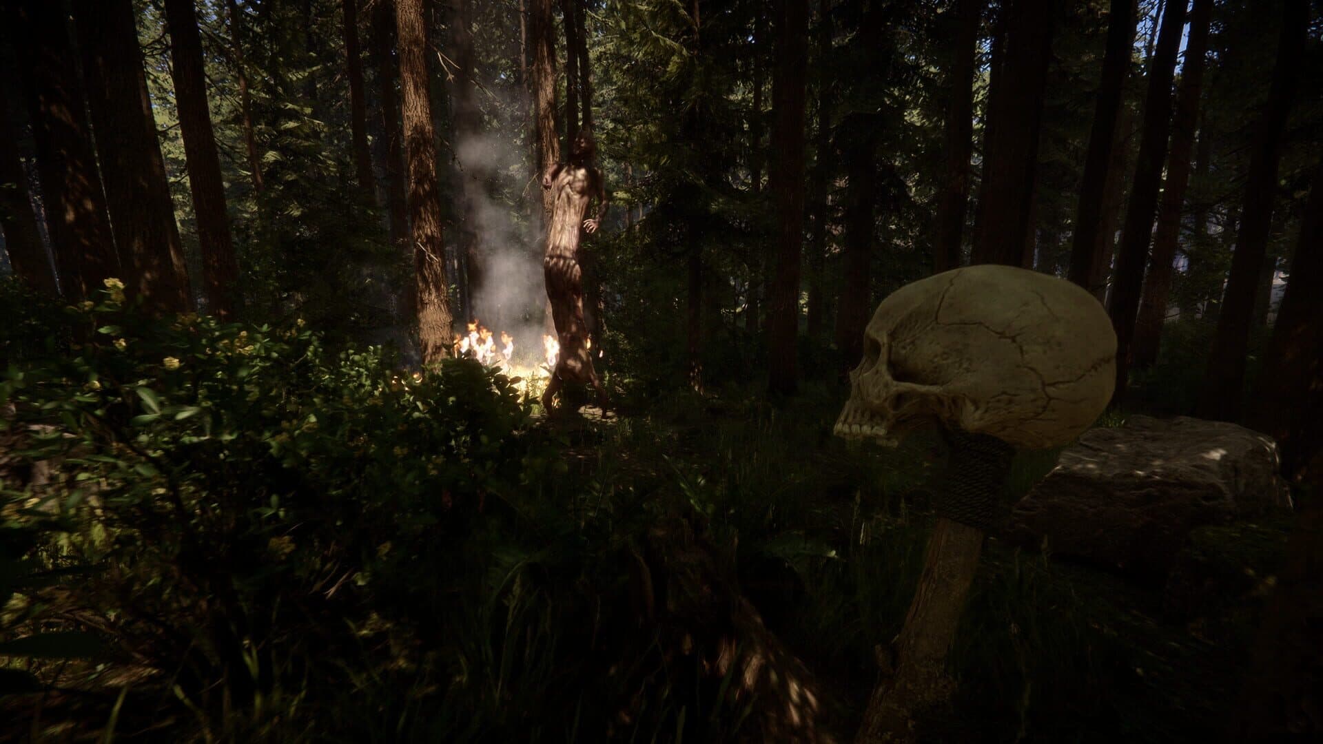 Screenshot for Sons of the Forest