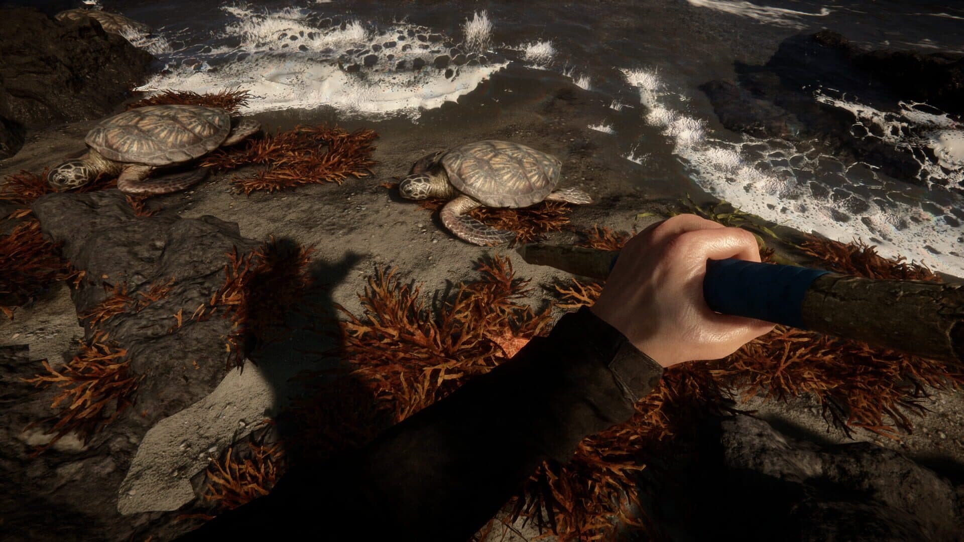 Screenshot for Sons of the Forest