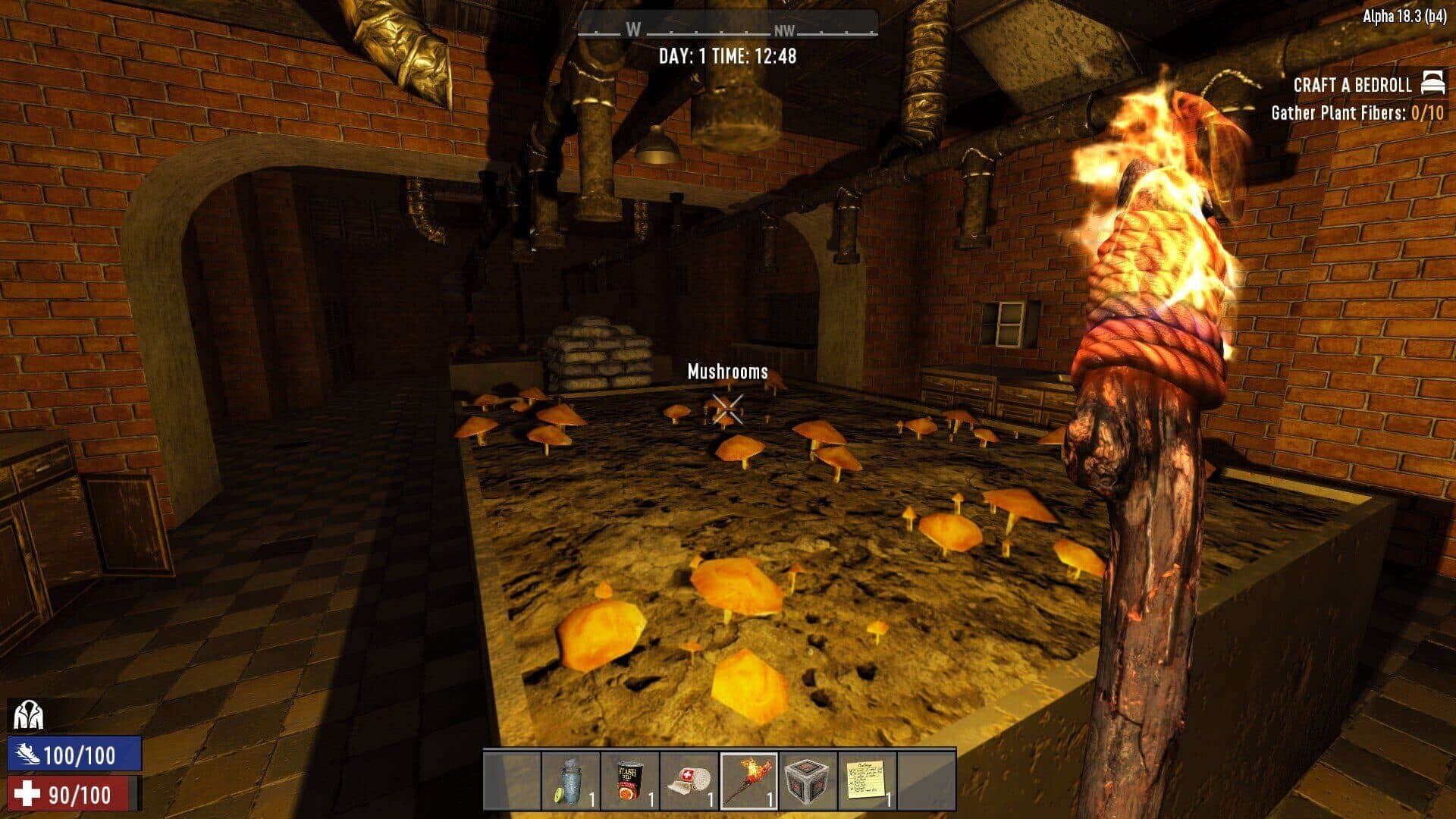 Screenshot for 7 Days to Die
