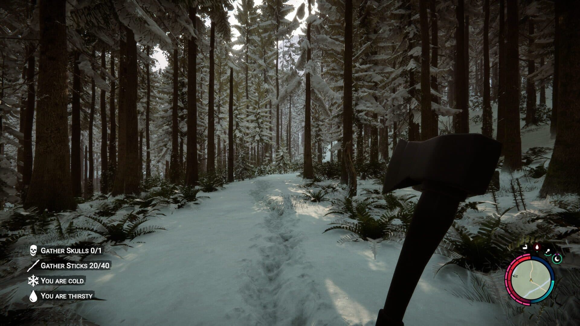 Screenshot for Sons of the Forest