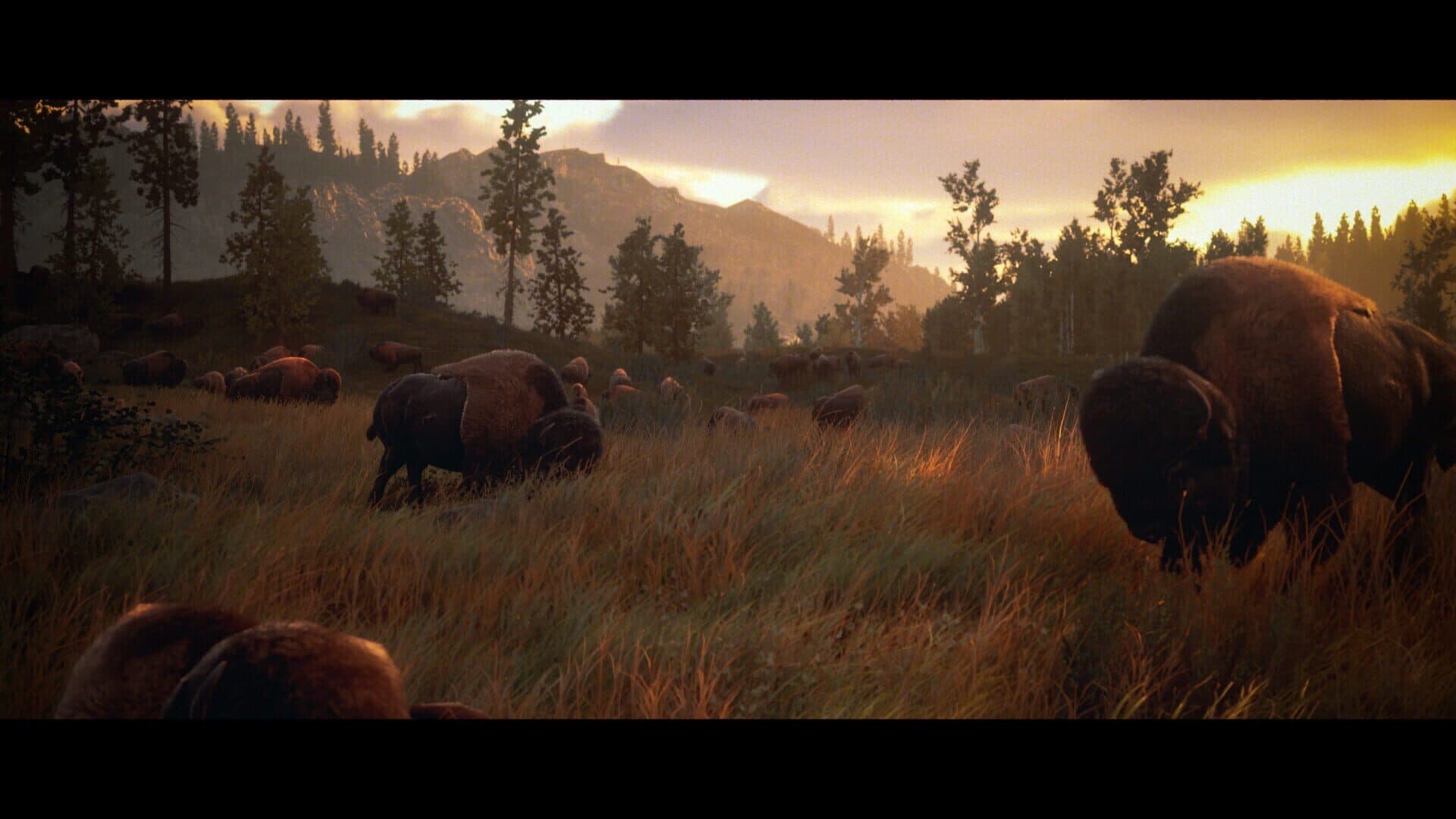 Screenshot for Hunting Simulator 3