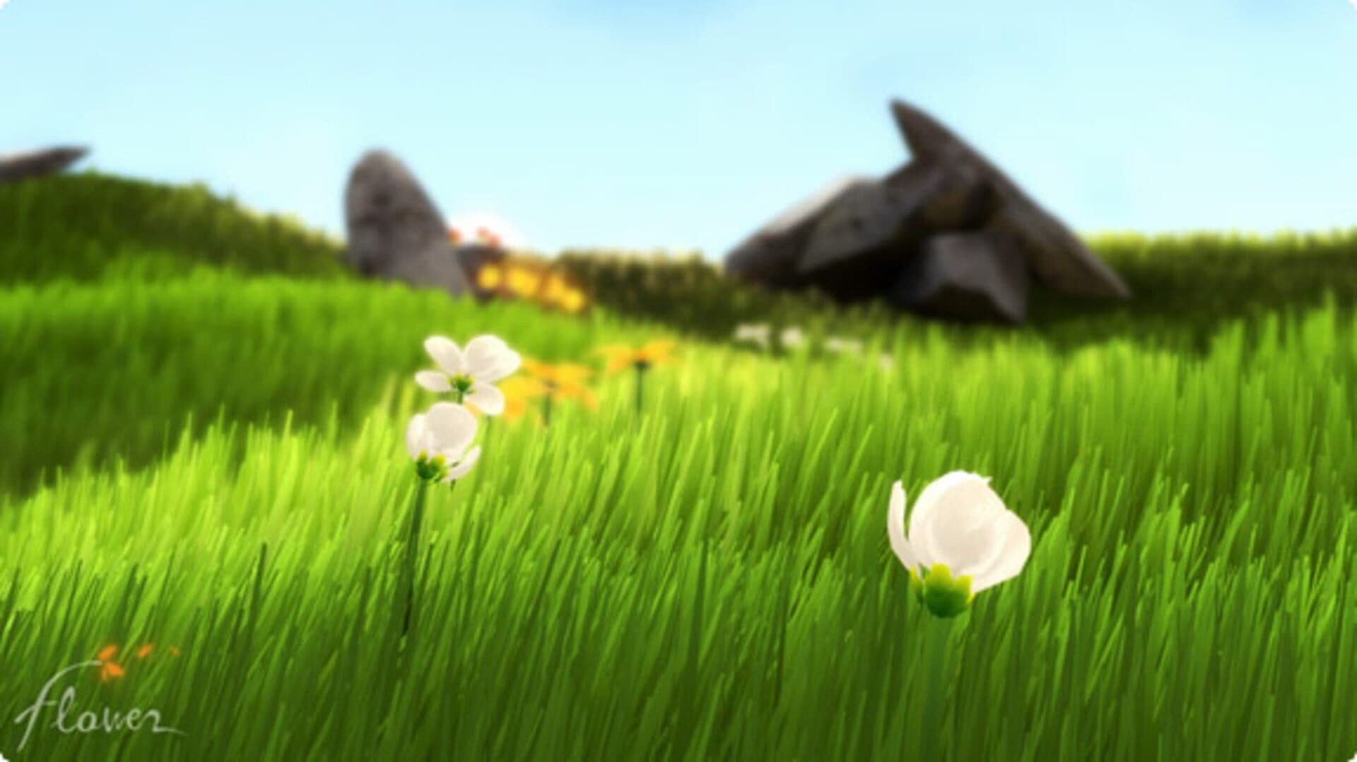 Screenshot for Flower