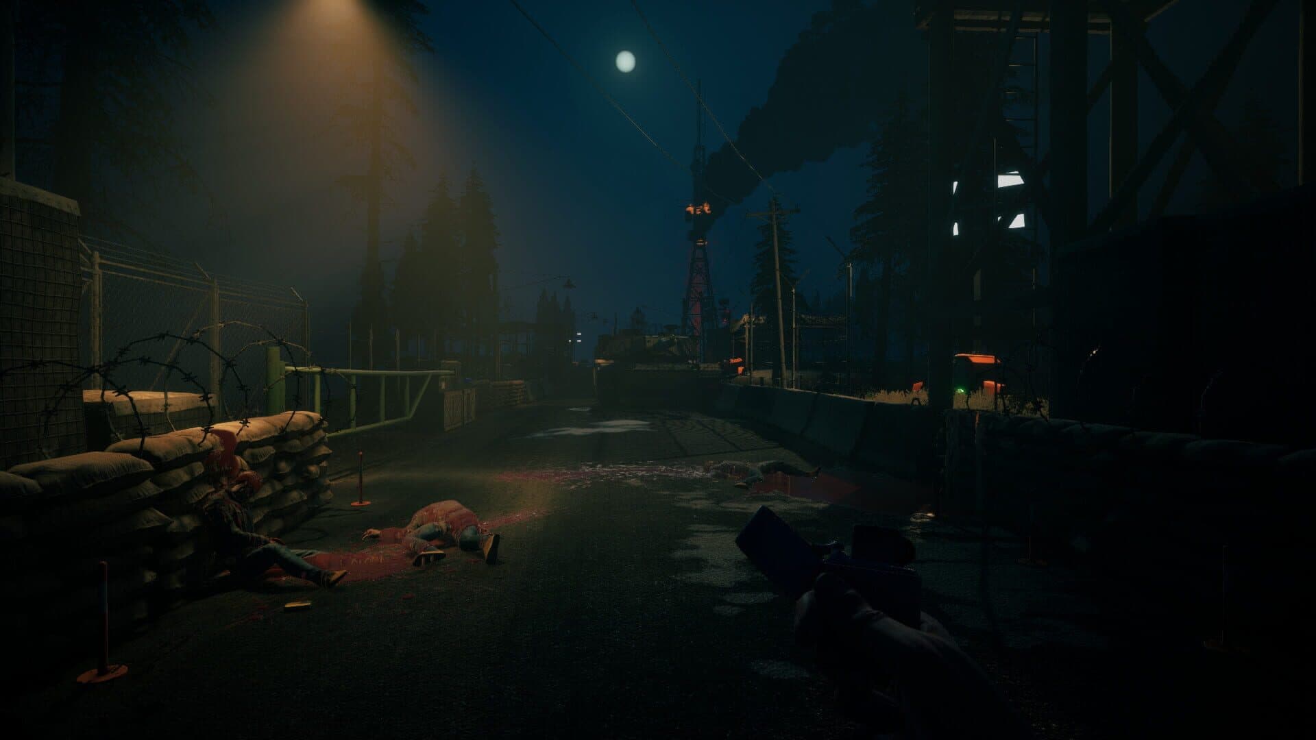 Screenshot for No More Room in Hell 2
