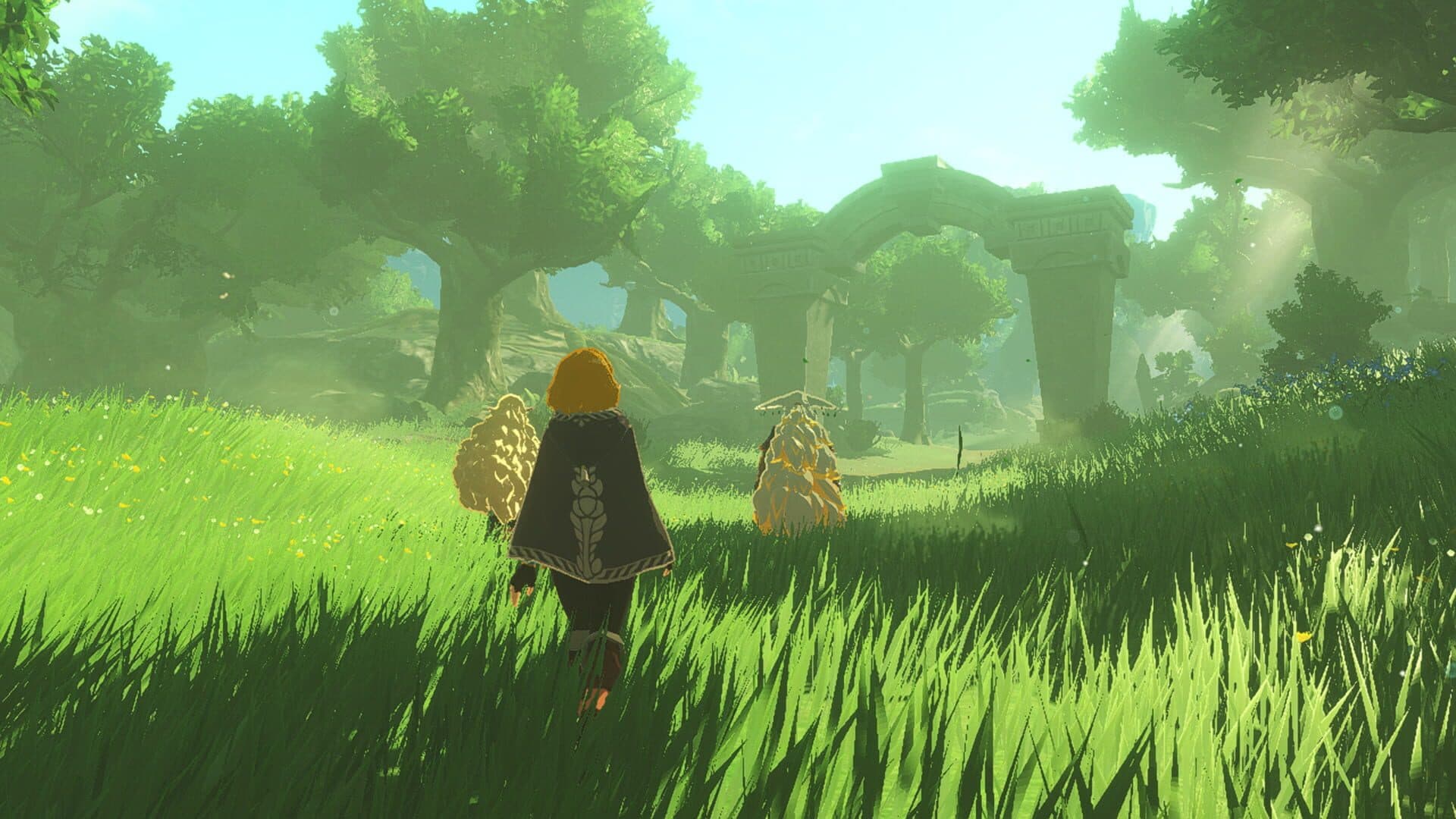 Screenshot for Hyrule Warriors: Age of Imprisonment